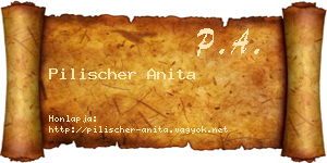 Pilischer Anita névjegykártya